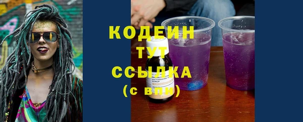 ПСИЛОЦИБИНОВЫЕ ГРИБЫ Кодинск