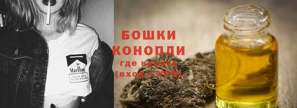стафф Козловка