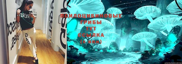 ПСИЛОЦИБИНОВЫЕ ГРИБЫ Кодинск