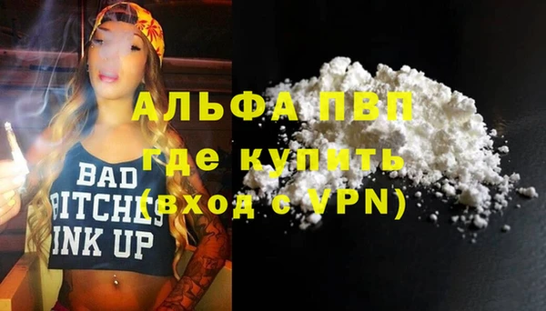 стафф Козловка