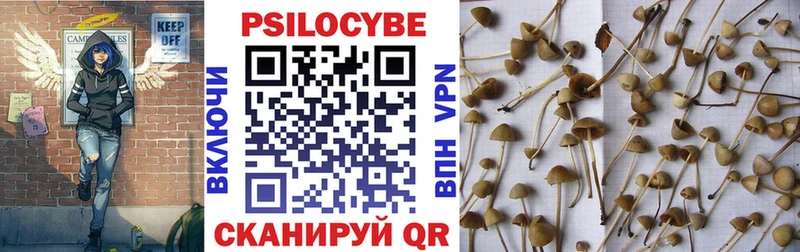Купить где  Среднеуральск  Галлюциногенные грибы MAGIC MUSHROOMS 